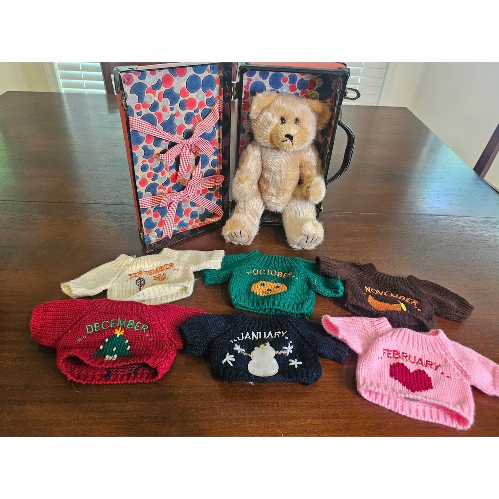 Vintage Teddy Bear Plush Kids 11in 12 Month Season Sweaters Trunk Set